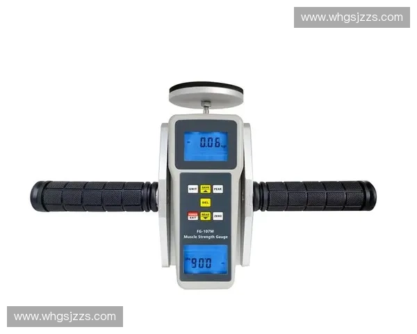 肌肉力量测试方法与评估标准的研究与应用探讨