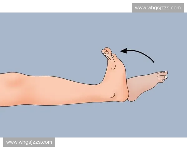 足踝康复训练与治疗方法研究：提高功能恢复与预防再伤的策略探讨